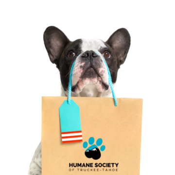 Humane Society of Truckee-Tahoe's Online Store is Open for Business | Lake Tahoe Humane Society of Truckee-Tahoe's Online Store is Open for Business | Lake Tahoe