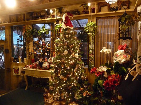 Open House at High Sierra Gardens | High Sierra Gardens | Lake Tahoe Events