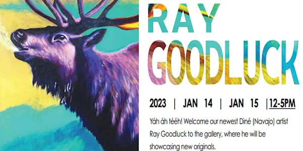 Meet the Artist: Ray Goodluck | Marcus Ashley Fine Art Gallery | Lake ...