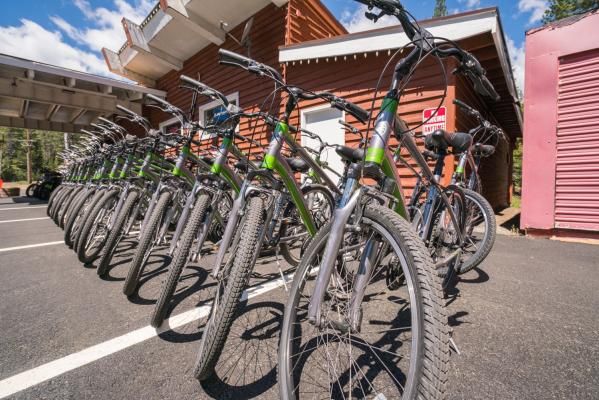 21 Speed Comfort Mountain Bike Rentals Truckee River Bikes Lake Tahoe Things To Do