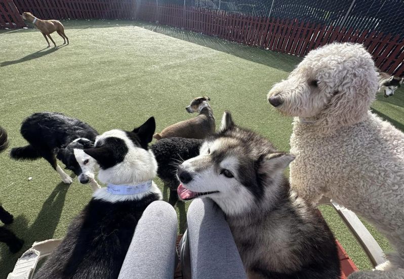 Post, December 28, 2023 813am Lake Tahoe